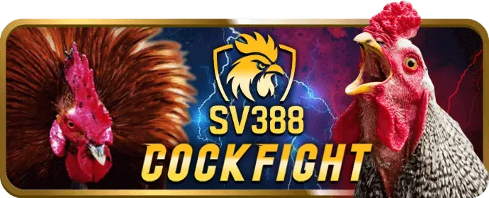 Quy định hành vi bị cấm tại Gamvip Club