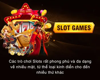 Hình ảnh minh họa quyền của người chơi